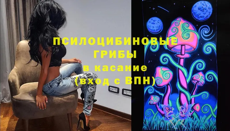 где продают   Ряжск  Псилоцибиновые грибы MAGIC MUSHROOMS 